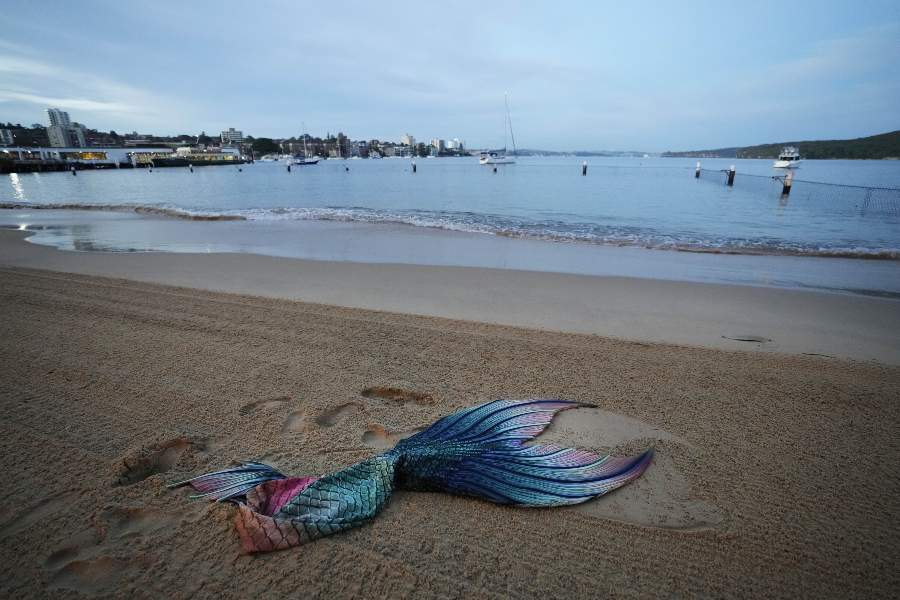 La cola de Lauren Metzler, fundadora de Sydney Mermaids, yace en la arena mientras se prepara para un baño matutino en la playa de Manly Cove en Sidney, Australia, el jueves 26 de mayo de 2022. (Foto AP)