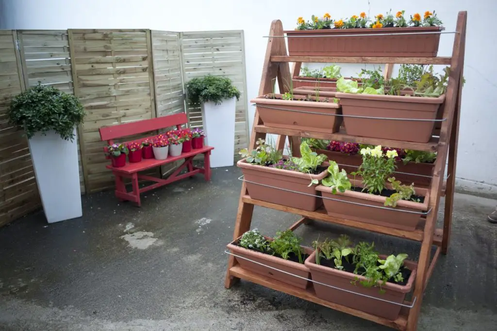 Huerta orgánica en escalera. -ahorro de espacio en un patio pequeño. Decoración de jardines pequeños. 10 ideas en 2020
